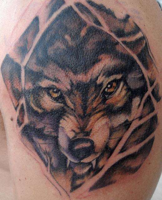 愤怒的狼头纹身图案