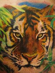 彩色老虎写实纹身图案