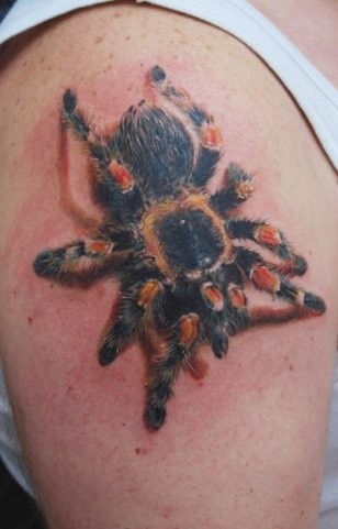 肩部彩色蜘蛛写实纹身图案