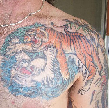 肩部老虎打斗纹身图案
