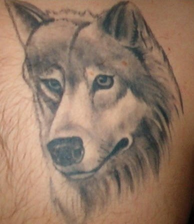 黑灰悲伤狼纹身图案