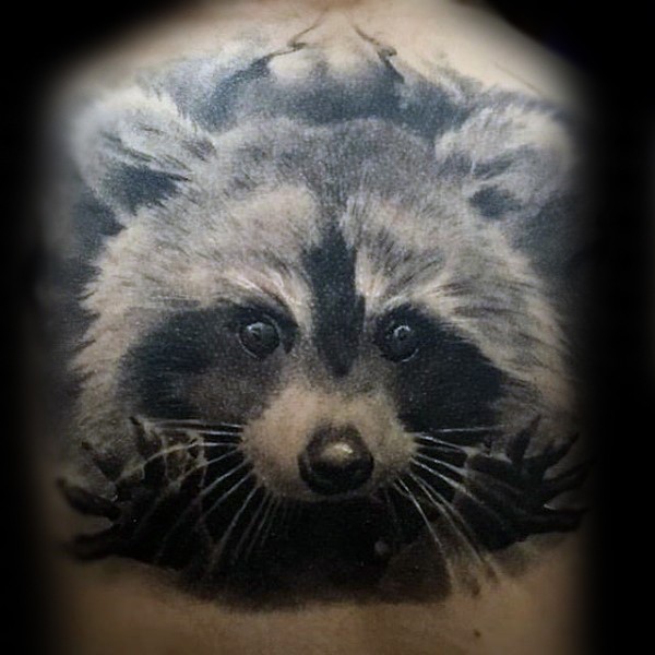 背部黑白小浣熊的纹身图案