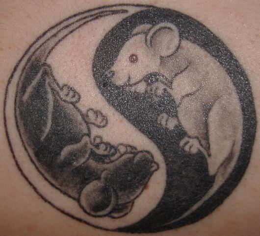 黑白八卦老鼠纹身图片