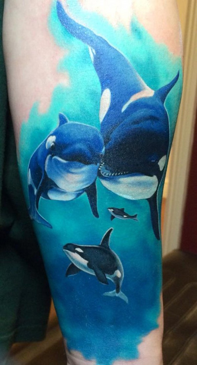 手臂彩色鲨鱼纹身图案