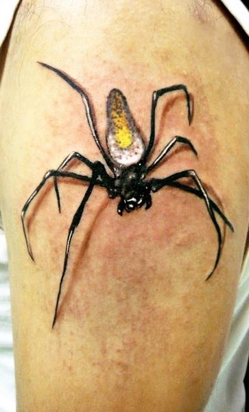 腹部手臂小蜘蛛纹身图案