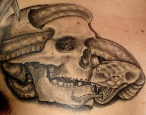 黑灰骷髅蛇纹身图案