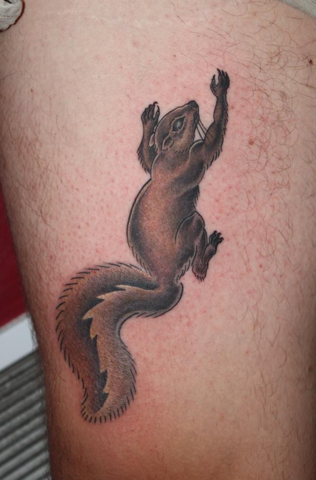 腿部彩色小松鼠纹身图案