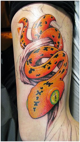 手臂彩色树上的超现实蛇纹身图案