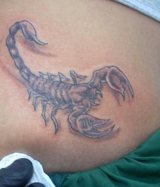 腹部黑白蝎子纹身图案