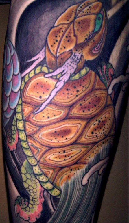 手臂彩色大黄龟纹身图片
