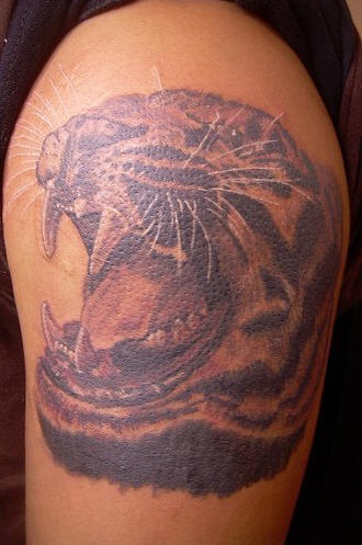 肩部咆哮的老虎纹身图案
