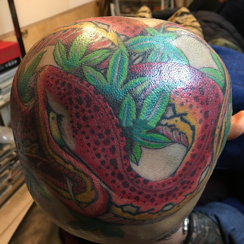 头部日式蛇树叶彩绘纹身图案