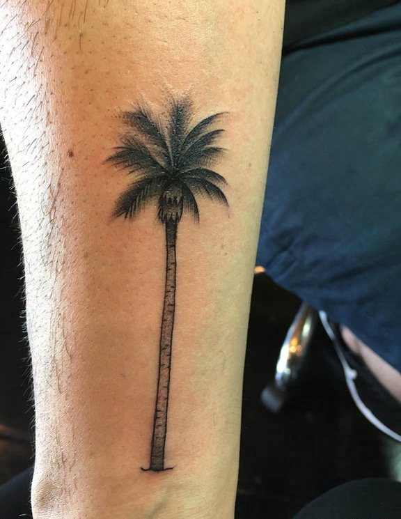男性手臂上彩色的小清新植物纹身棕榈树纹身图片