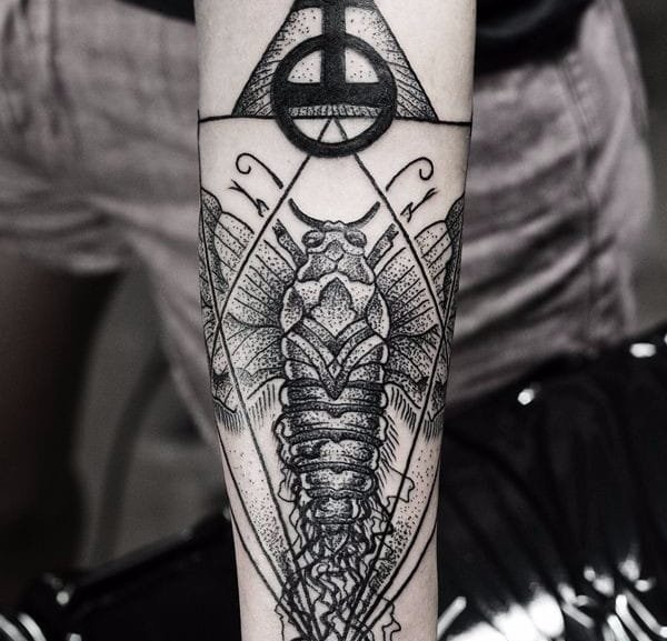 11款漂亮的飞蛾纹身蝴蝶纹身动物图案纹身