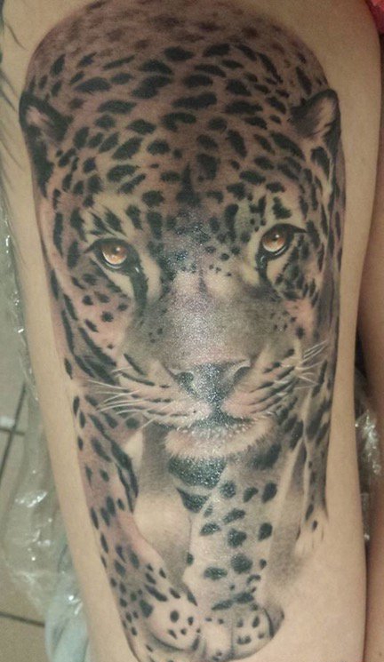 腿上的写实风格豹子纹身图片