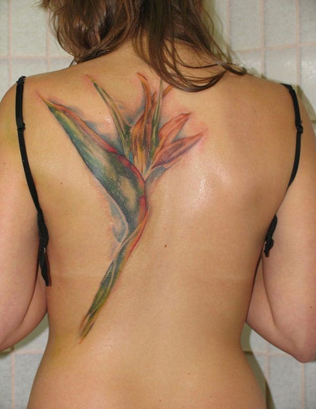 女生小清新纹身彩色天堂鸟花纹身植物纹身图案