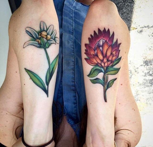 手臂上彩色花朵纹身山龙眼花和雪绒花植物纹身图片