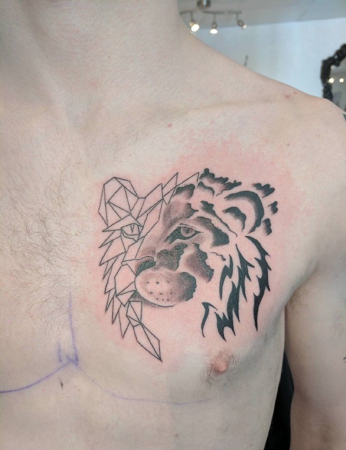 男生胸部纹身黑白灰风格点刺纹身狮子头纹身图片