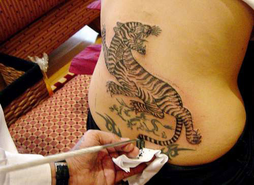 美国影星安吉莉娜背后老虎纹身图案