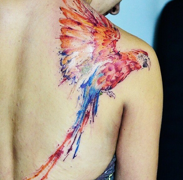 女性后肩漂亮的彩色鹦鹉纹身图案