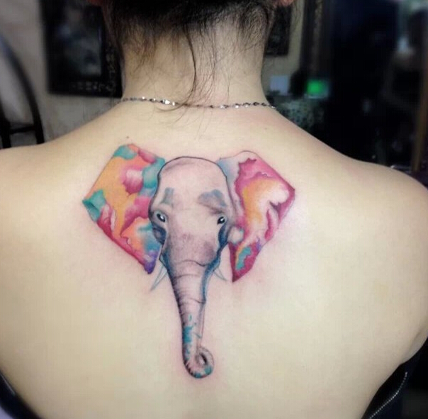 性感女生背部多彩大象纹身图案