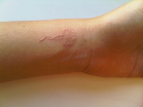 手腕漂亮的小花鸽子血隐形纹身图片