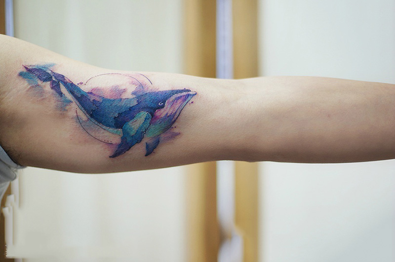 手臂遨游的鲸鱼水彩纹身图片