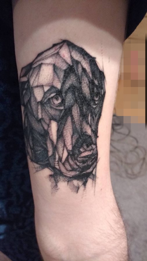 手臂上黑白灰风格点刺技巧简易狗纹身动物图片