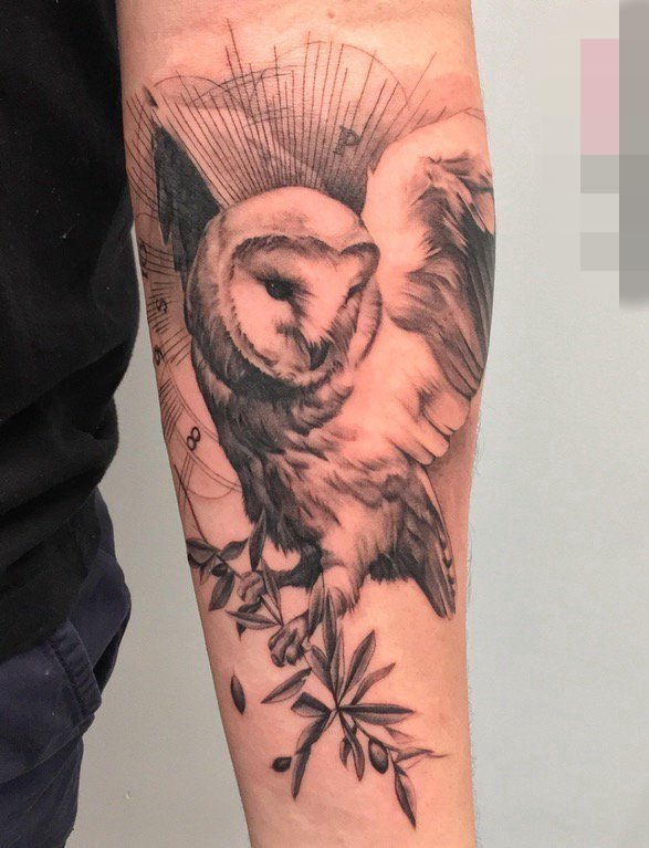 手臂上点刺技巧植物素材猫头鹰动物纹身图片