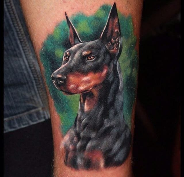 一组生动且活泼的杜宾犬宠物狗纹身动物纹身图案大全