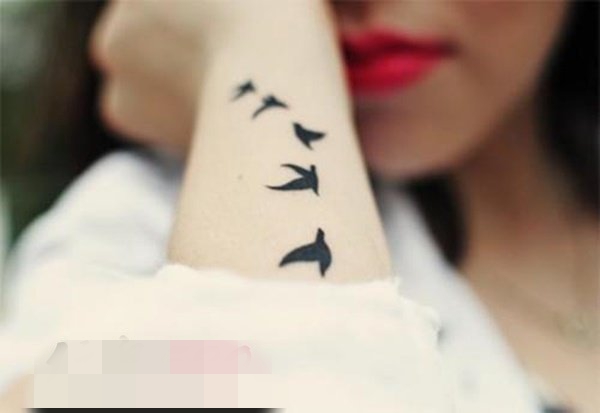 一组活泼可爱的简单线条纹身黑白灰风格点刺技巧小鸟纹身图案