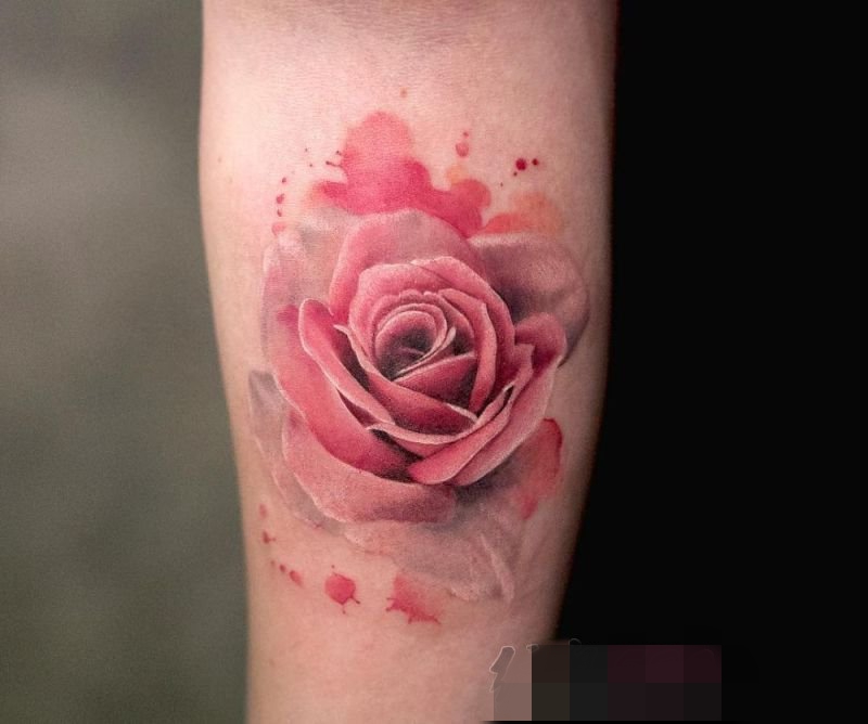 女生唯美植物彩绘技巧玫瑰花纹身图案
