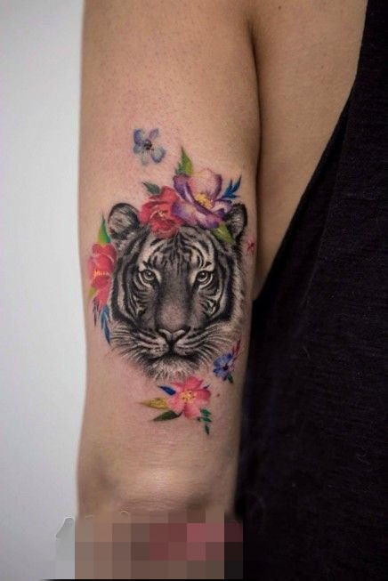 霸气侧漏的彩绘动物简单个性线条老虎头纹身图案