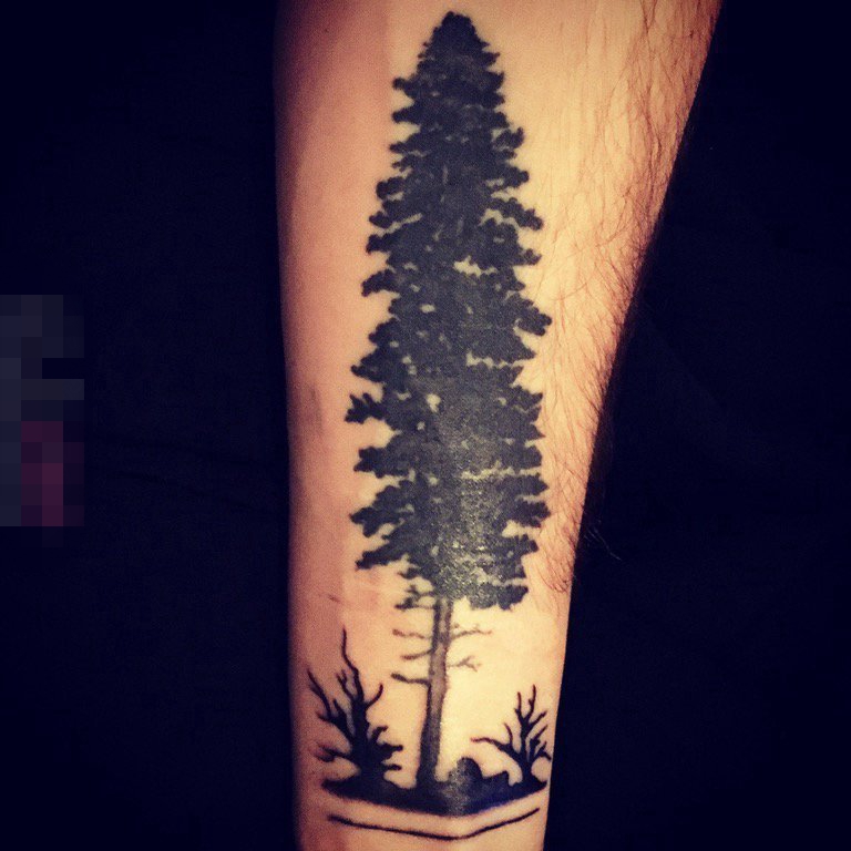 男生手臂上黑灰色清新树木纹身图片
