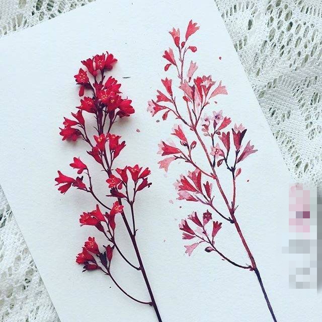 多款唯美小清新植物素材文艺花朵纹身手稿