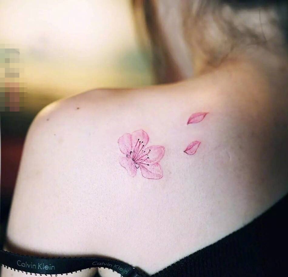 女生背部彩绘素描3d唯美樱花花朵花瓣文艺纹身图片