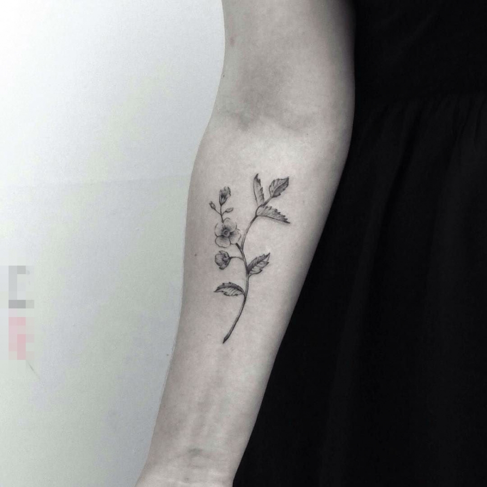 女生手臂上黑色素描创意花束纹身图片