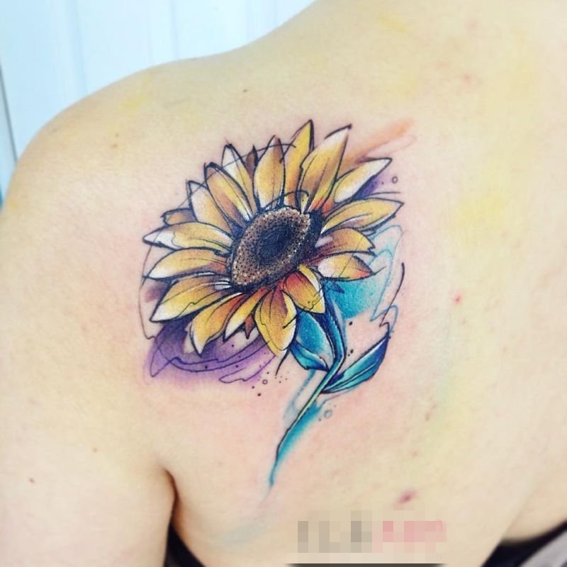 女生背部彩绘水彩素描唯美向日葵纹身图片