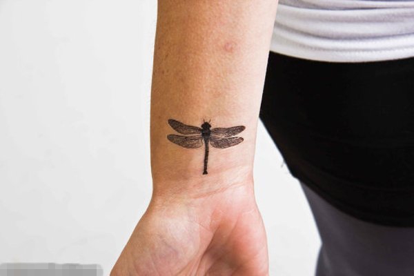 男生手腕上黑色点刺小动物蜻蜓纹身图片