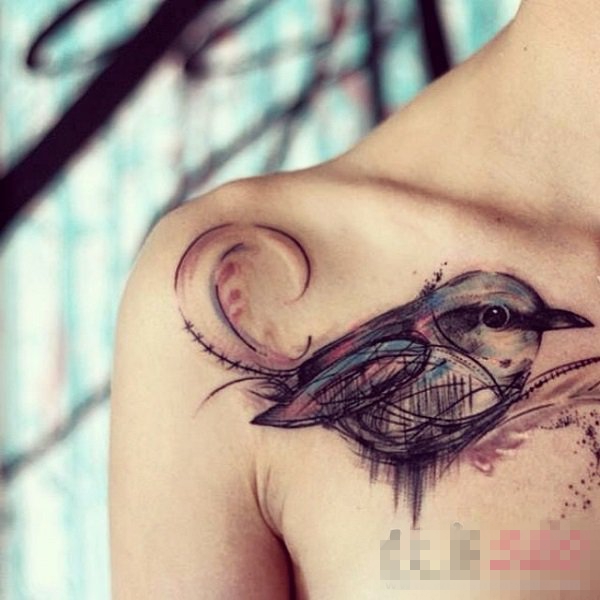 女生锁骨下黑灰素描创意可爱小鸟纹身图片