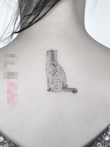 女生后背上黑灰色简约线条宠物猫纹身图片