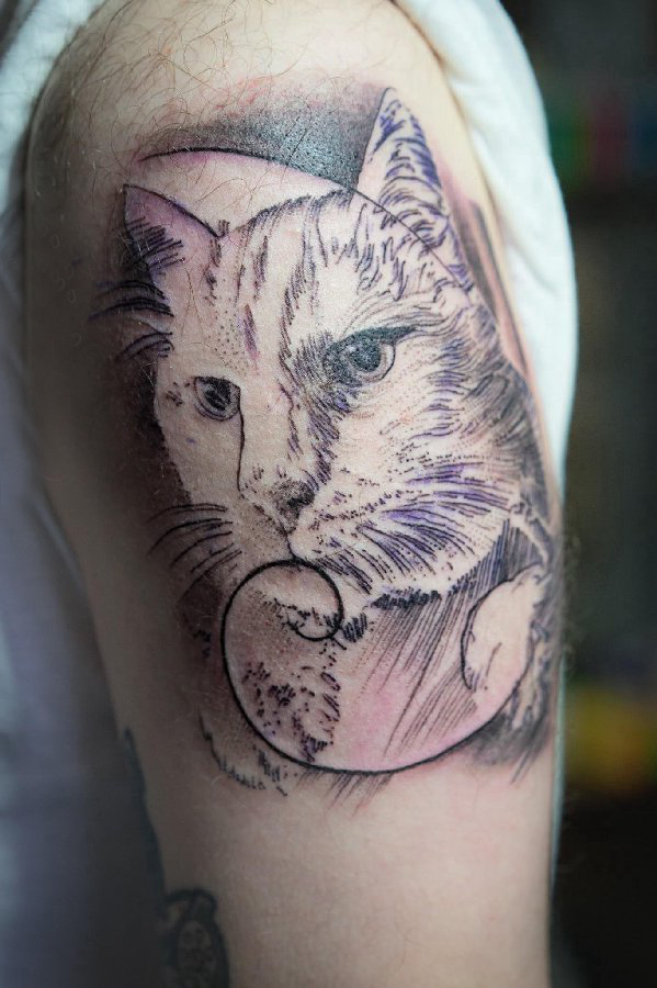 男生手臂上黑灰点刺简单线条猫咪纹身图片