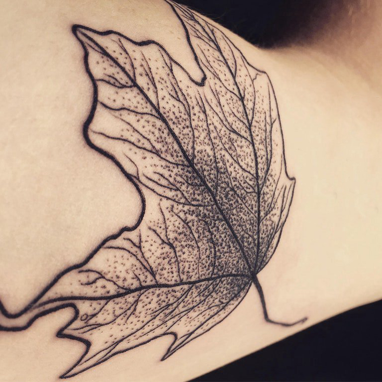 男生手臂上黑色点刺抽象线条植物枫叶纹身图片