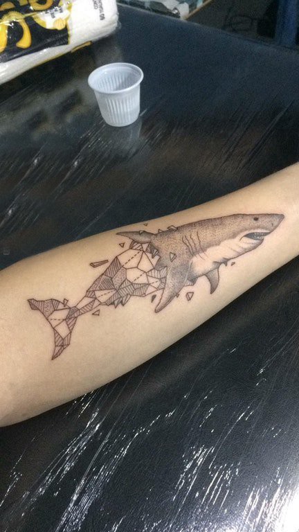 女生手臂上黑灰素描几何元素创意鲨鱼动物纹身图片