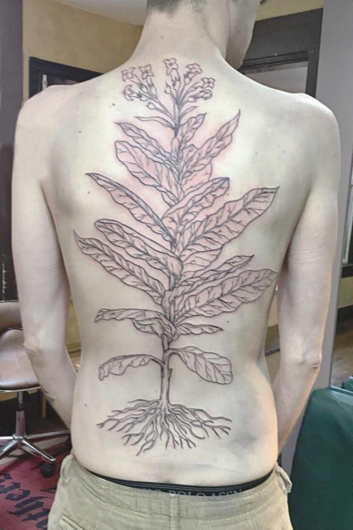 男生后背上黑色抽象线条植物叶子和花朵纹身图片