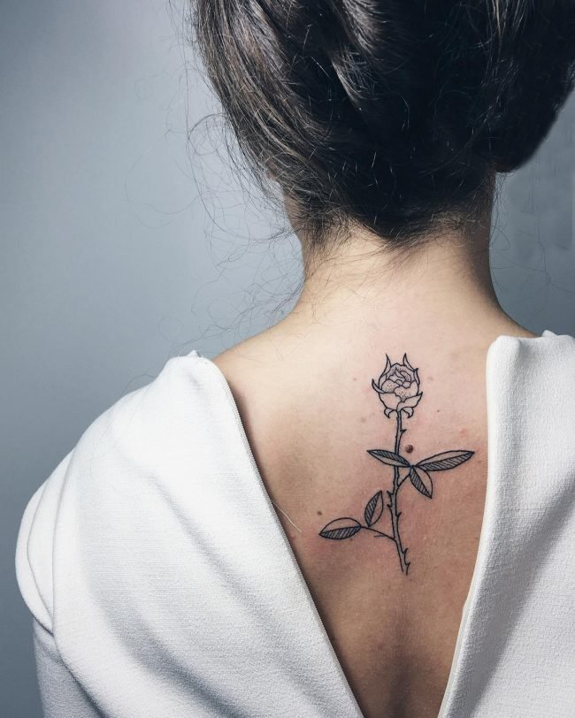 女生背部黑色线条素描唯美玫瑰文艺纹身图片