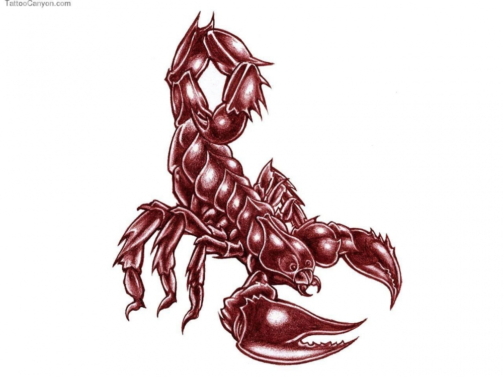 彩绘水彩素描创意霸气蝎子纹身手稿