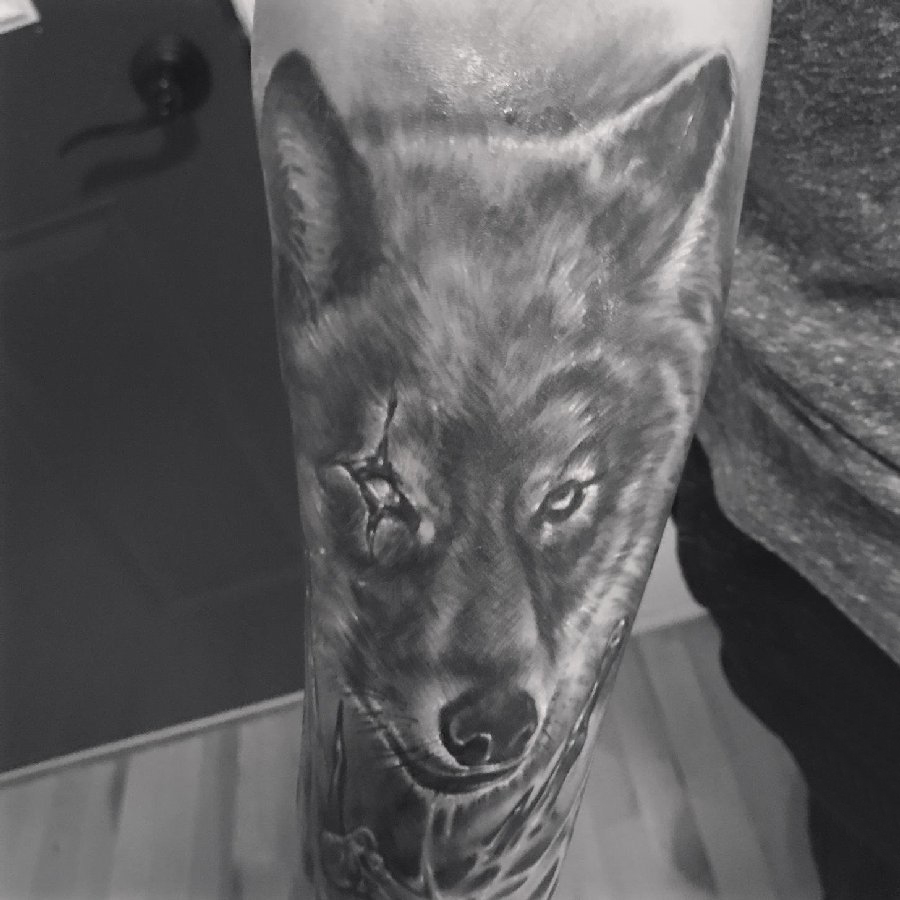 男生手臂上黑灰点刺简单线条小动物狼纹身图片