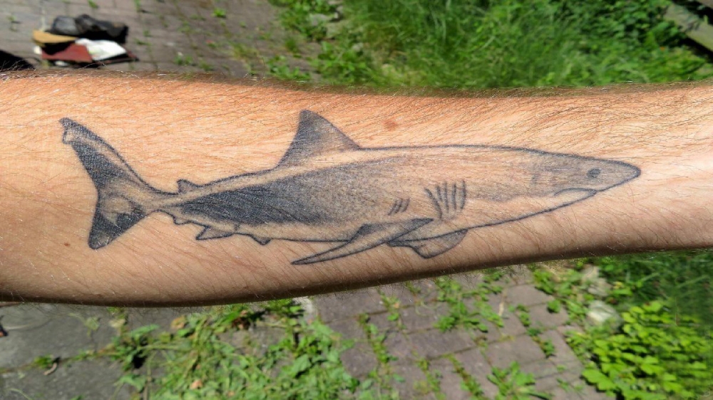 男生手臂上黑灰素描点刺技巧创意鲨鱼纹身图片
