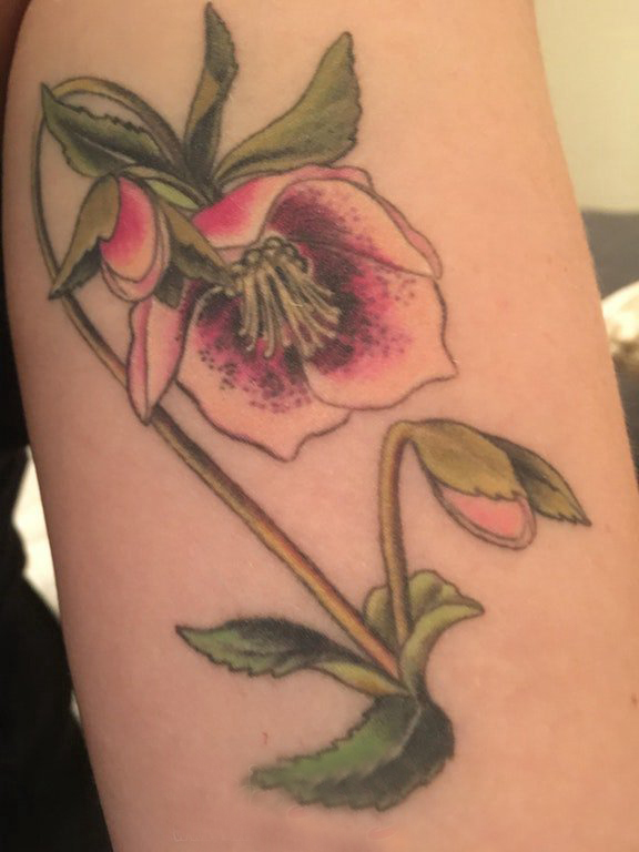 女生大腿上彩绘渐变简单线条植物文艺花朵纹身图片